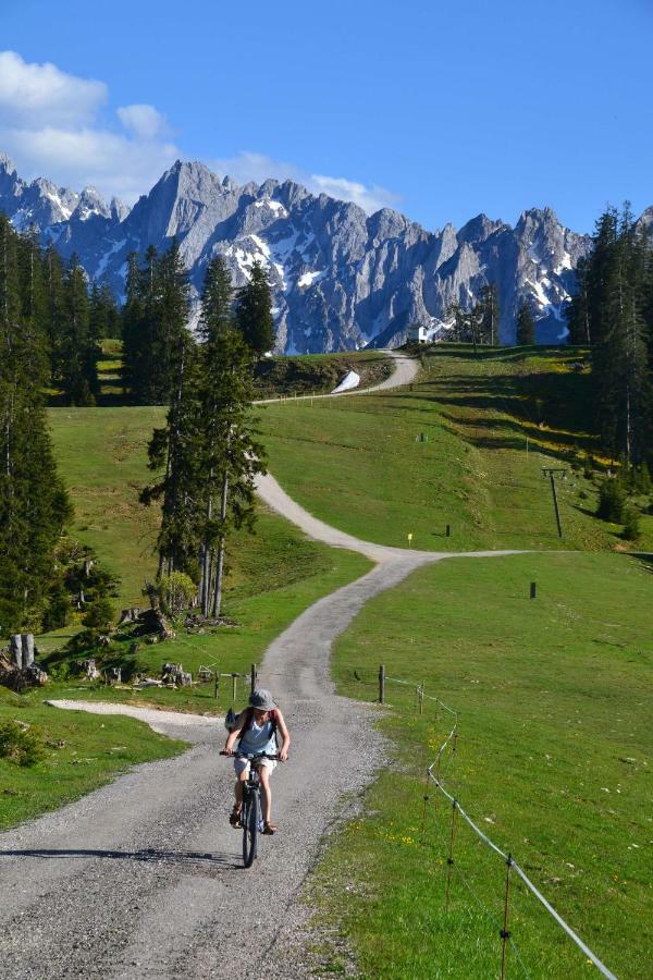 Pension Edelweiss Top21 โกเซา ภายนอก รูปภาพ
