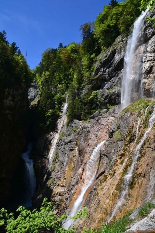 Pension Edelweiss Top21 โกเซา ภายนอก รูปภาพ